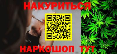индика Можга
