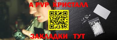 индика Можга