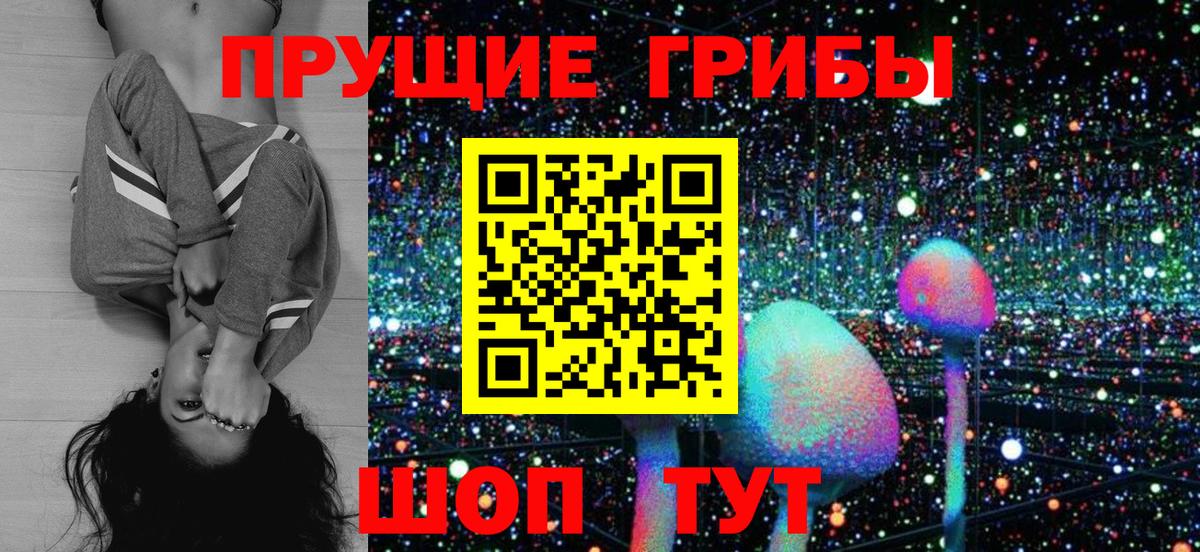 закладка  Вход с VPN  Ульяновск  Галлюциногенные грибы MAGIC MUSHROOMS  Псилоцибиновые грибы Cubensis 