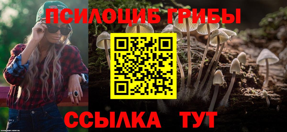 Псилоцибиновые грибы мухоморы Ульяновск